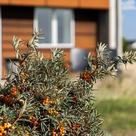 1364-vestervig-fjordvej-64 *